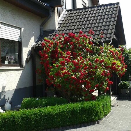 Ferienwohnung Raupe Fritzlar Bagian luar foto